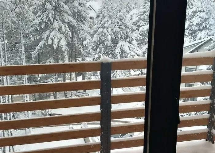 Akik Ζλάτιμπορ