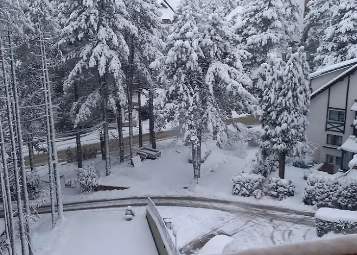 Διαμέρισμα Akik