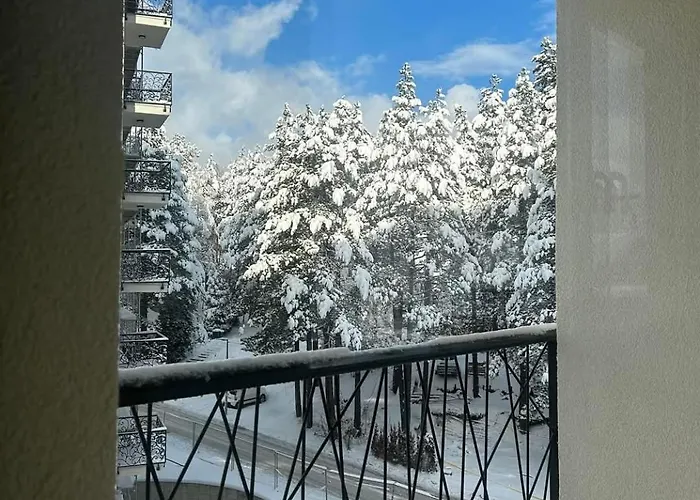 Akik Ζλάτιμπορ